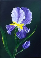 Obraz kwiaty prezent 30x20 / 75 Patryk Mit