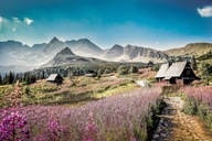 Obraz na płótnie XL do salonu pejzaż góry las chata Tatry 120x80