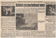 PRZEDZEŃ BORKÓW CEKÓW GODZIESZE CHOCZ LISKÓW KALISZ - PIES KIELCE PSY