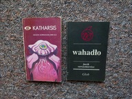 2x SAWASZKIEWICZ KATHARSIS + WAHADŁO/FANTASTYKA FANTASY SF SCIENCE FICTION