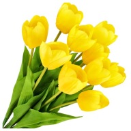 TULIPANY ŻÓŁTE KWIATY SZTUCZNE WIELKANOC JAK ŻYWE STROIK 10SZT BUKIET 54CM