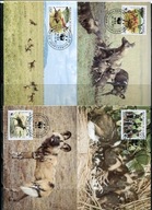 A51629)WWF-Maximum Karty Ssaki: Guinea 1194 - 1197 A