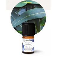 Olejek eteryczny eukaliptusowy organiczny Florihana 15g Eucalyptus Globulus