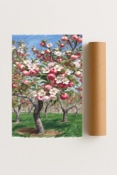 Plakat bez ramy 30x40 cm Kwitnące jabłonie na wiosnę – dekoracja