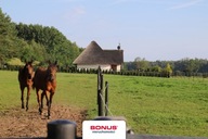 Dom, Wolin, Wolin, Kamieński, 985 m²