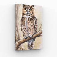 Obraz na płótnie 30x40 Sowa na Gałęzi noc natura | Pomysł na prezent