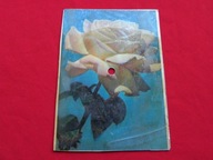 MAJDANIEC / CZERWONO-CZARNI alibaba POCZTÓWKA DŹWIĘKOWA