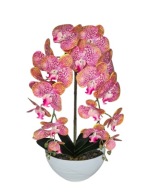 Sztuczny Storczyk gumowy w Doniczce Dwa Pędy Orchidea Jak Żywa Róż