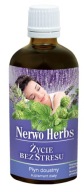 Suplement diety Inwent Herbs Nerwo Herbs Życie bez stresu melisa płyn