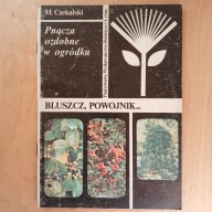 Czekalski - Pnącza ozdobne w ogródku - bluszcz powojnik