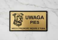 Tabliczka uwaga pies amstaff Srebrna, złota duży wybór wzorów