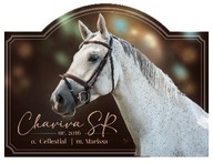 TABLICZKA NA BOKS KONIA DO STAJNI DLA KONIA z fotografią Personalizowana