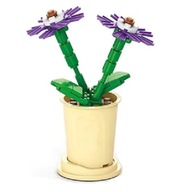 KLOCKI KWIATY W DONICZCE dla Dzieci Dorosłych Prezent CINERARIA Wieczny Kwi