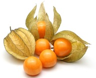PHYSALIS miechunka, jagody inkaskie, złote 10 szt.