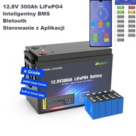 12V 300Ah 12,8V 3840Wh LiFePO4 Bateria Akumulator Smart BMS bluetooth APP