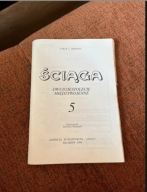 Ściąga Dwudziestolecie Międzywojenne