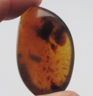 Bursztyn poler - Sumatra 8 gr - zobacz