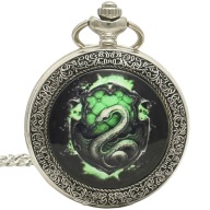 Zegarek, Naszyjnik, Wisiorek - Slytherin - Harry Potter nr.37