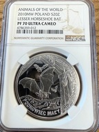 20 zł Podkowiec Mały 2010 Zwierzęta Świata NGC PF 70 MAX NOTA IDEAŁ RARYTAS