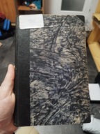 Józef Milewski - Zagadnienie narodowej polityki 1913