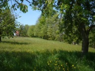 Działka, Czułów, Liszki, Krakowski, 2100 m²