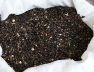 Gryka ziarno 5 kg na poplon