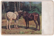 Koń Konie lata 30 malował H. Klein Malarstwo POLSKIE 871A