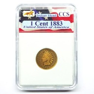 1 cent 1883 USA Indianin w plastikowym slabie Indian Head