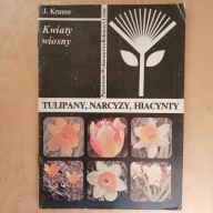 Krause - Kwiaty wiosny - Tulipany narcyzy hiacynty