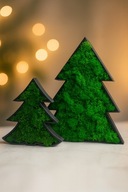 Choinki z chrobotkiem stojące