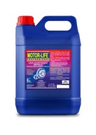 MOTOR-LIFE PROFESSIONAL 5L DO PRZEMYSŁU CIĘŻKIEGO USZLACHETNIACZ METALU