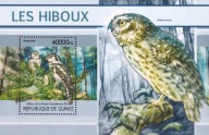 Gwinea 2013 ** cena 6,90 zł kat.8€ - ptaki, sowy