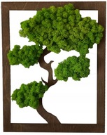 OBRAZ Z DRZEWEM - MECH CHROBOTEK 40X30CM