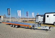 Wiola L35G65P hydrauliczne podnoszenie 650x216 cm 3.5T DMC laweta pod busy