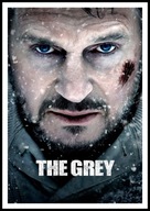 A2 PLAKAT FILMOWY FILM PRZETRWANIE, THE GREY, LIAM NEESON (2011)