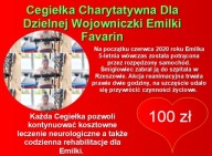 Cegiełka Charytatywna Dla Dzielnej Wojowniczki 100 zł Emilki Favarin