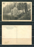 K13697) Niemcy: Neue Welt, Waldteich