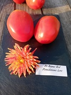 Pomidor De Barao Red super plenne i smaczne nasiona kolekcjonerskie