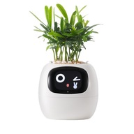 Doniczka tworzywo sztuczne biały PLANTSIO 10 cm x 11,4 x 9,6 cm