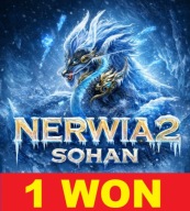 Akademia Nerwia2 SOHAN 1 WON WONY 1000KK YANG Nerwia2 NERWIA AKADEMIA