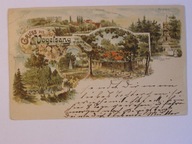 Elbląg Elbing Vogelsang bażantarnia restauracja wieża widokowa 1898