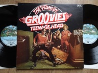 THE FLAMIN’ GROOVIES Teenage Head / Flamingo 2lp EX/EX+ UK press