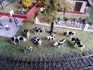 HO figurki krowy makieta diorama malowane-5 sztuk