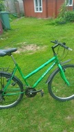 Rower 26 cali Zielony rama 17 cali koło 26