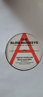 The Blow Monkeys - This Is Your Life