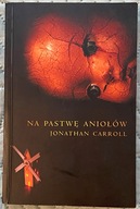 Na pastwę aniołów - Jonathan Carroll