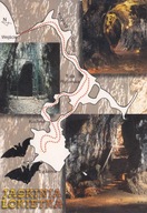JASKINIA ŁOKIETKA - MAPKA - OJCOWSKI PARK NARODOWY