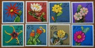 Fi 2636-43; Kwiaty sukulentów - kaktusy, seria