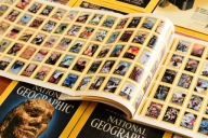 National Geographic. Centenial 1988. 12 numerów! Pełny rocznik.