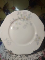 Unikatowy talerz CT z Kilonii dla kolekcjonerów i hobbystów